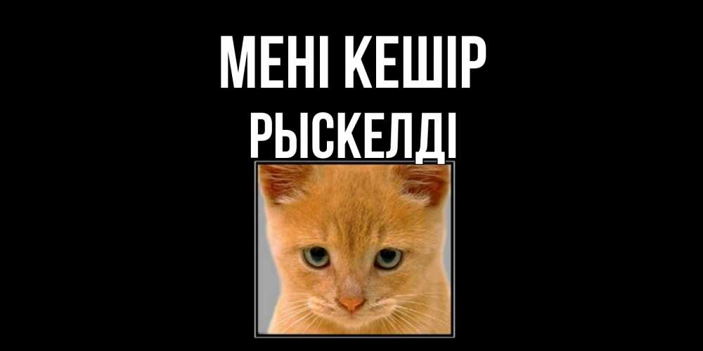 Күн сайын ашық хат с именем, РЫСКЕЛДІ Мені кешір рыжий грустный кот просит прощения Онлайн тегін жүктеп алу тілектері бар керемет карта 