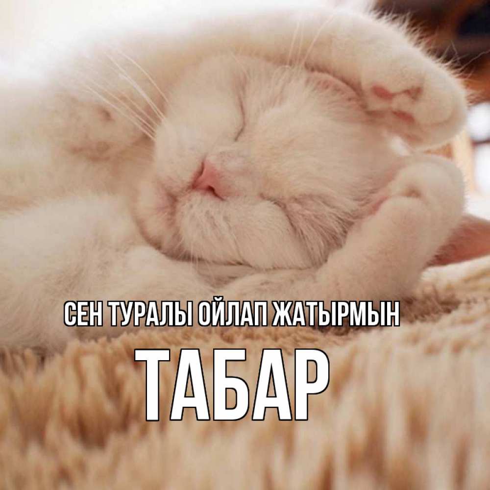 Күн сайын ашық хат с именем, ТАБАР Сен туралы ойлап жатырмын для любимой девушки милота Онлайн тегін жүктеп алу тілектері бар керемет карта 