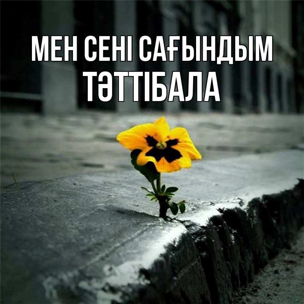 Күн сайын ашық хат с именем, ТӘТТІБАЛА Мен сені сағындым надеюсь будет лучше Онлайн тегін жүктеп алу тілектері бар керемет карта 