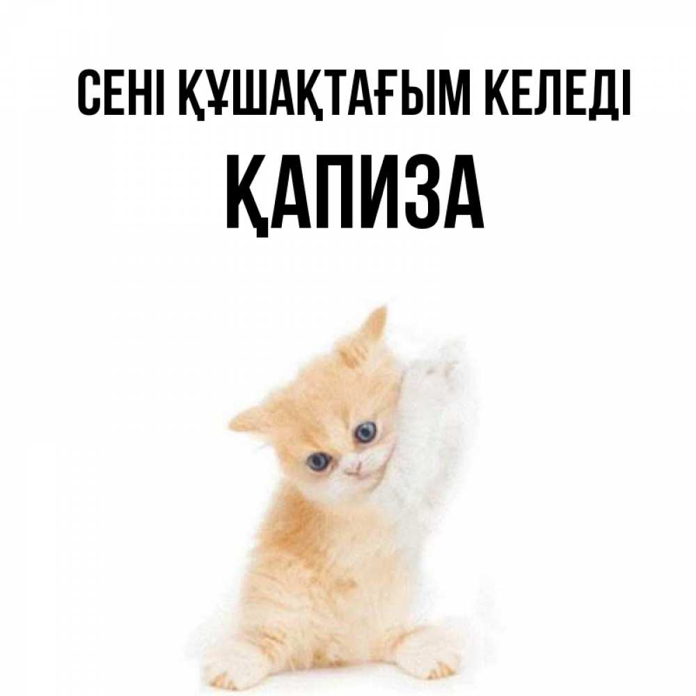 Күн сайын ашық хат с именем, ҚАПИЗА сені құшақтағым келеді я хочу очень скорее обнимаешек Онлайн тегін жүктеп алу тілектері бар керемет карта 