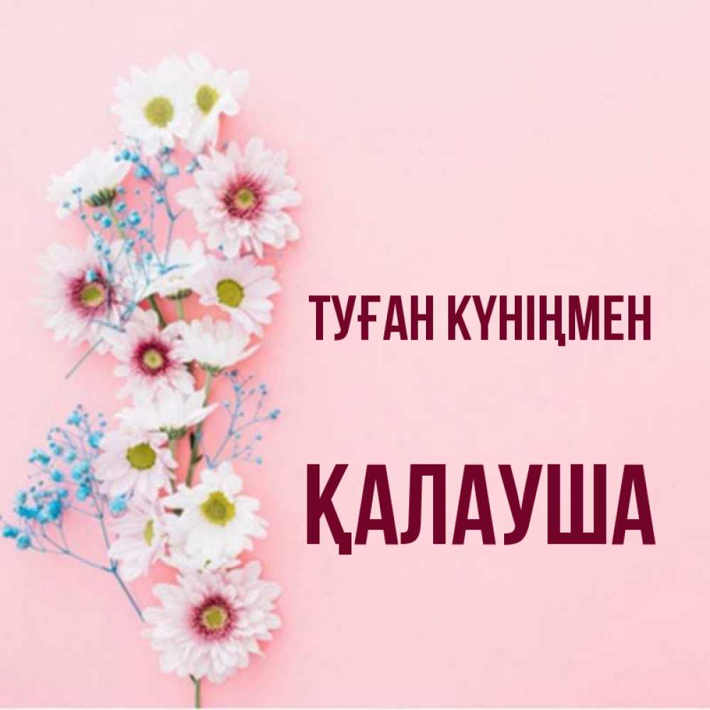 Күн сайын ашық хат с именем, Қалауша Туған күніңмен Родная моя с днем рождения тебя картинка с цветами белыми и голубыми Онлайн тегін жүктеп алу тілектері бар керемет карта 