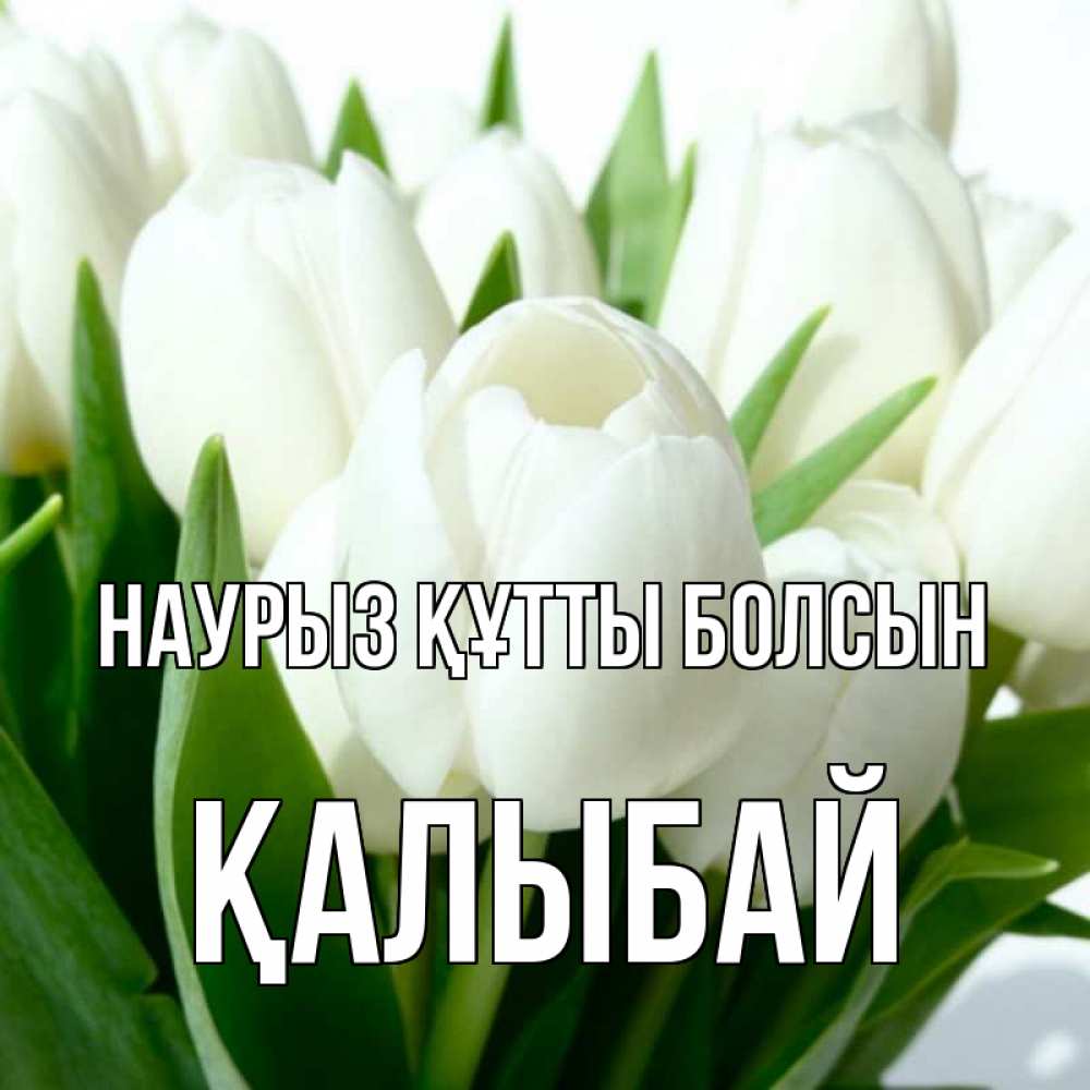 Күн сайын ашық хат с именем, Қалыбай Наурыз құтты болсын цветы Онлайн тегін жүктеп алу тілектері бар керемет карта 