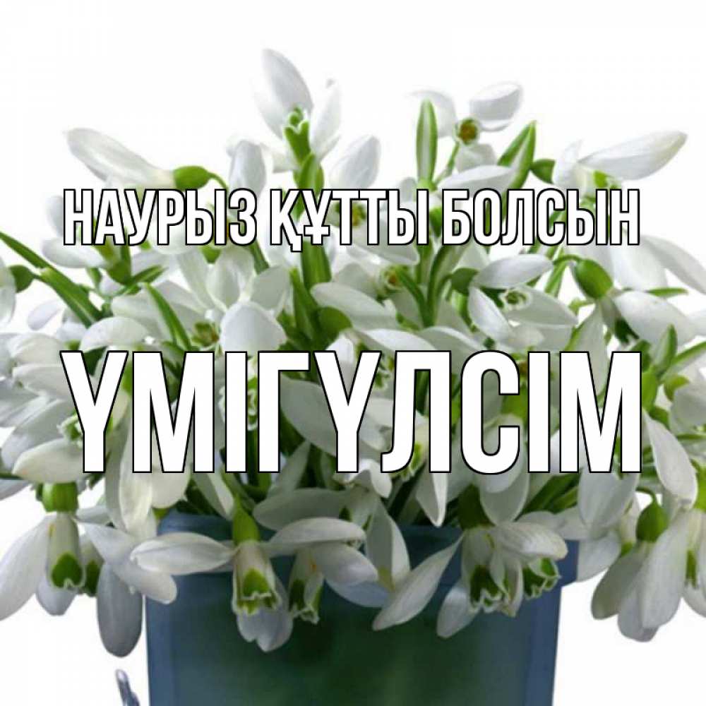 Күн сайын ашық хат с именем, ҮМІГҮЛСІМ Наурыз құтты болсын цветы к наурызу Онлайн тегін жүктеп алу тілектері бар керемет карта 