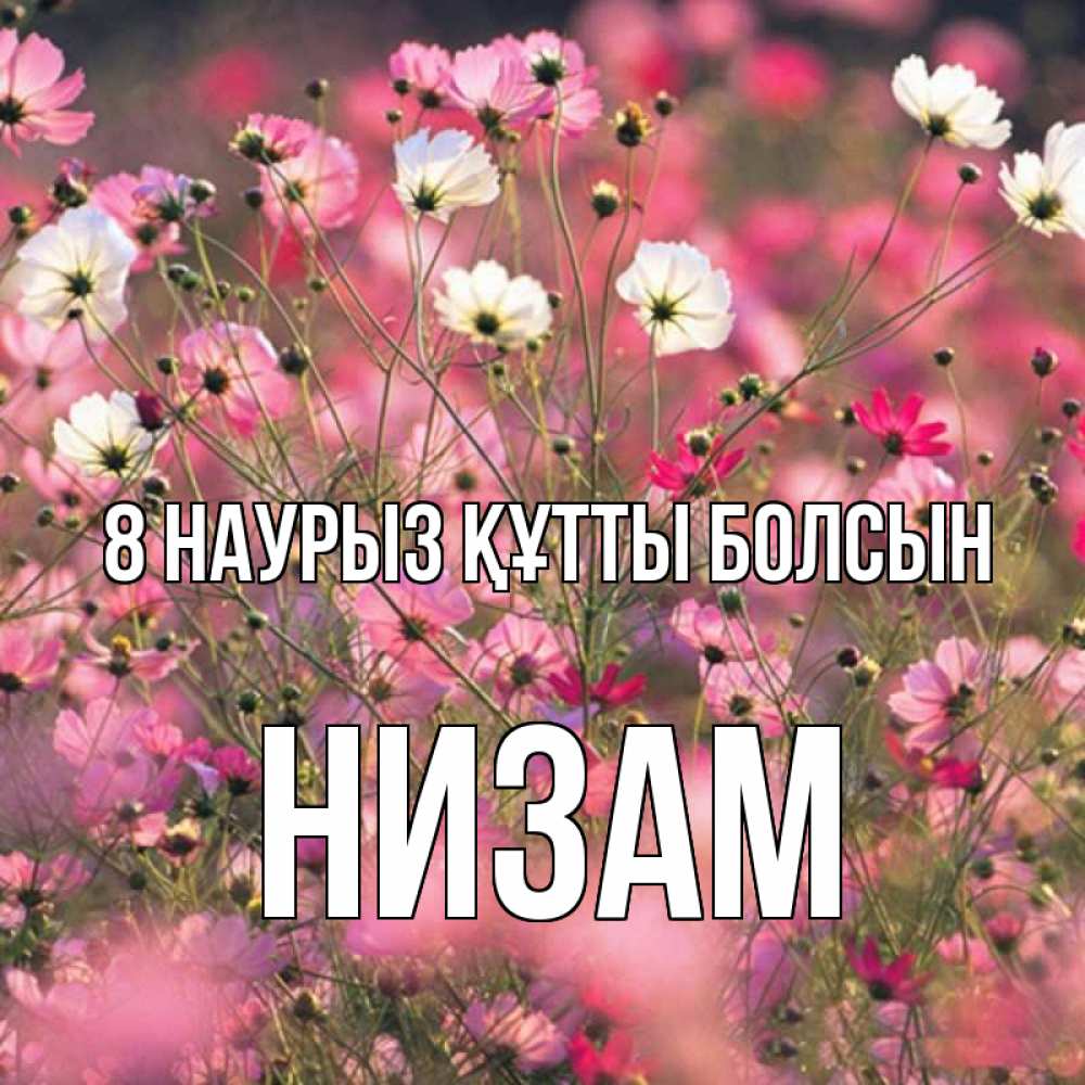 Күн сайын ашық хат с именем, НИЗАМ 8 наурыз құтты болсын красиво 1 Онлайн тегін жүктеп алу тілектері бар керемет карта 