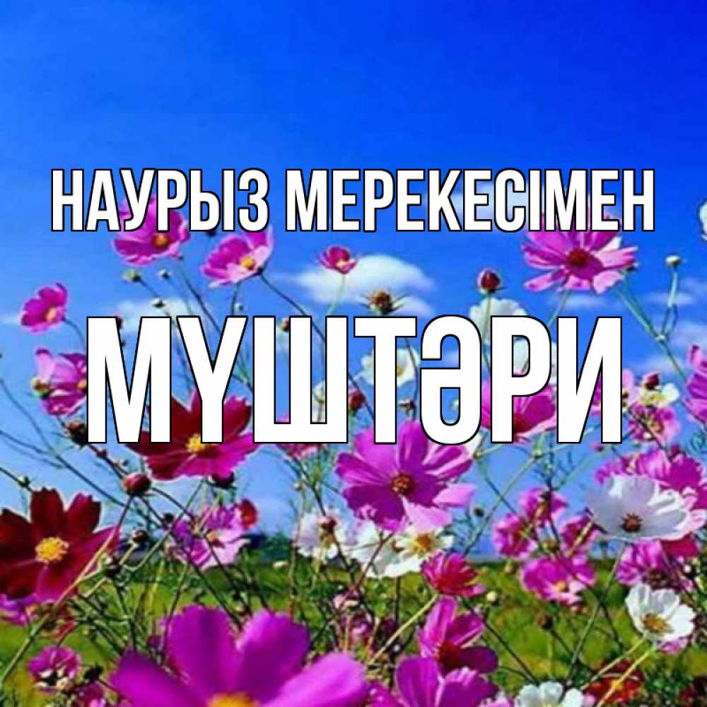 Күн сайын ашық хат с именем, МҮШТӘРИ Наурыз мерекесімен цветы Онлайн тегін жүктеп алу тілектері бар керемет карта 