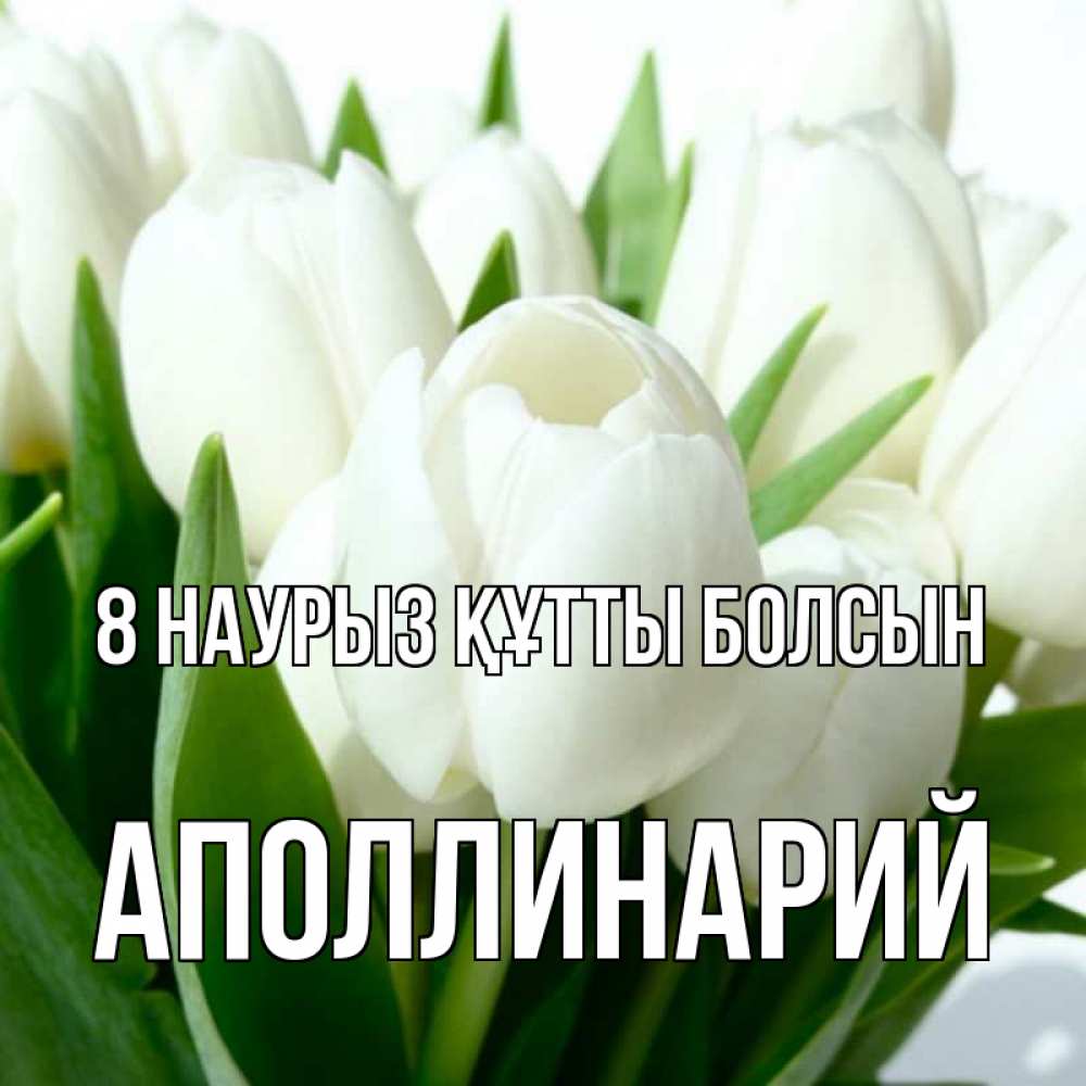 Күн сайын ашық хат с именем, Аполлинарий 8 наурыз құтты болсын цветы Онлайн тегін жүктеп алу тілектері бар керемет карта 