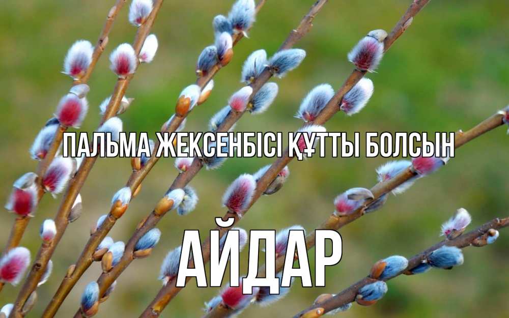 Күн сайын ашық хат с именем, Айдар Пальма жексенбісі құтты болсын верба Онлайн тегін жүктеп алу тілектері бар керемет карта 