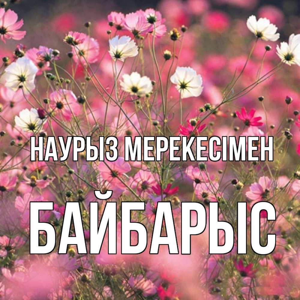Күн сайын ашық хат с именем, Байбарыс Наурыз мерекесімен красиво 1 Онлайн тегін жүктеп алу тілектері бар керемет карта 