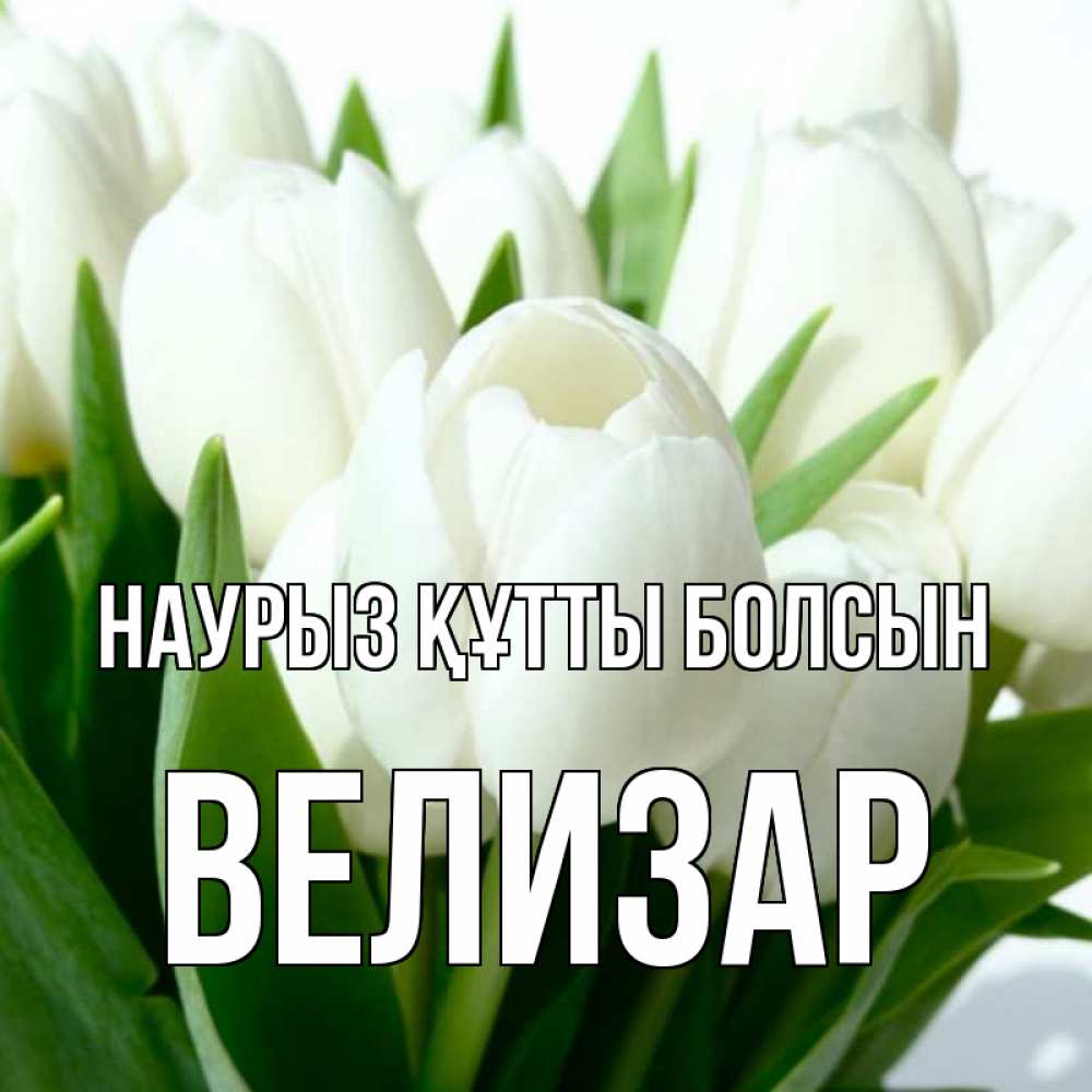 Күн сайын ашық хат с именем, Велизар Наурыз құтты болсын цветы Онлайн тегін жүктеп алу тілектері бар керемет карта 