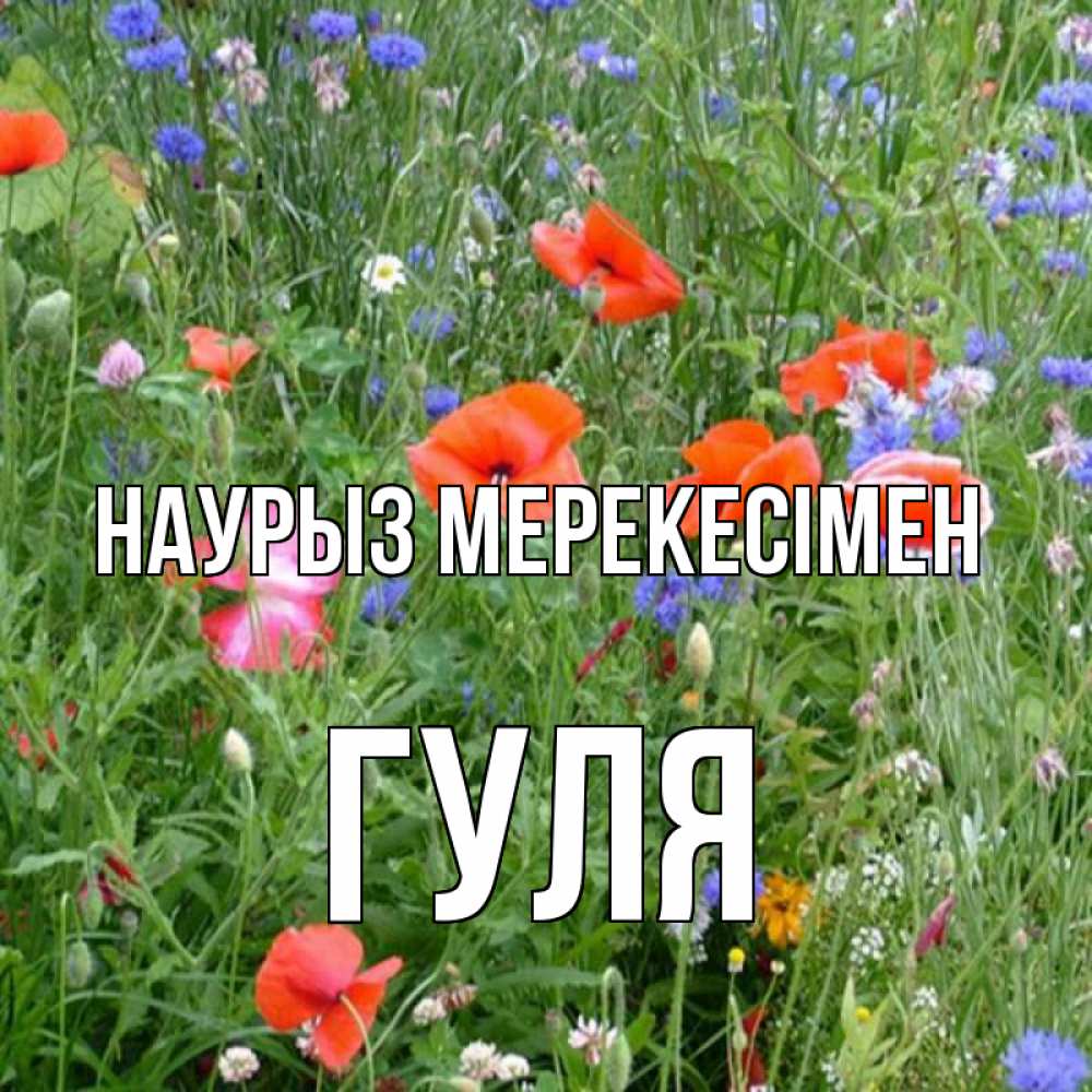 Күн сайын ашық хат с именем, Гуля Наурыз мерекесімен праздник весны наурыз супер открытка Онлайн тегін жүктеп алу тілектері бар керемет карта 