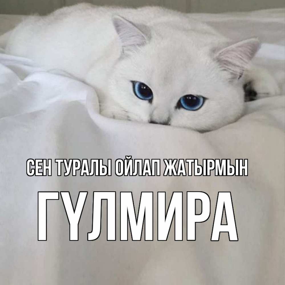 Күн сайын ашық хат с именем, ГҮЛМИРА Сен туралы ойлап жатырмын я очень по тебе скучаю и тоскую Онлайн тегін жүктеп алу тілектері бар керемет карта 