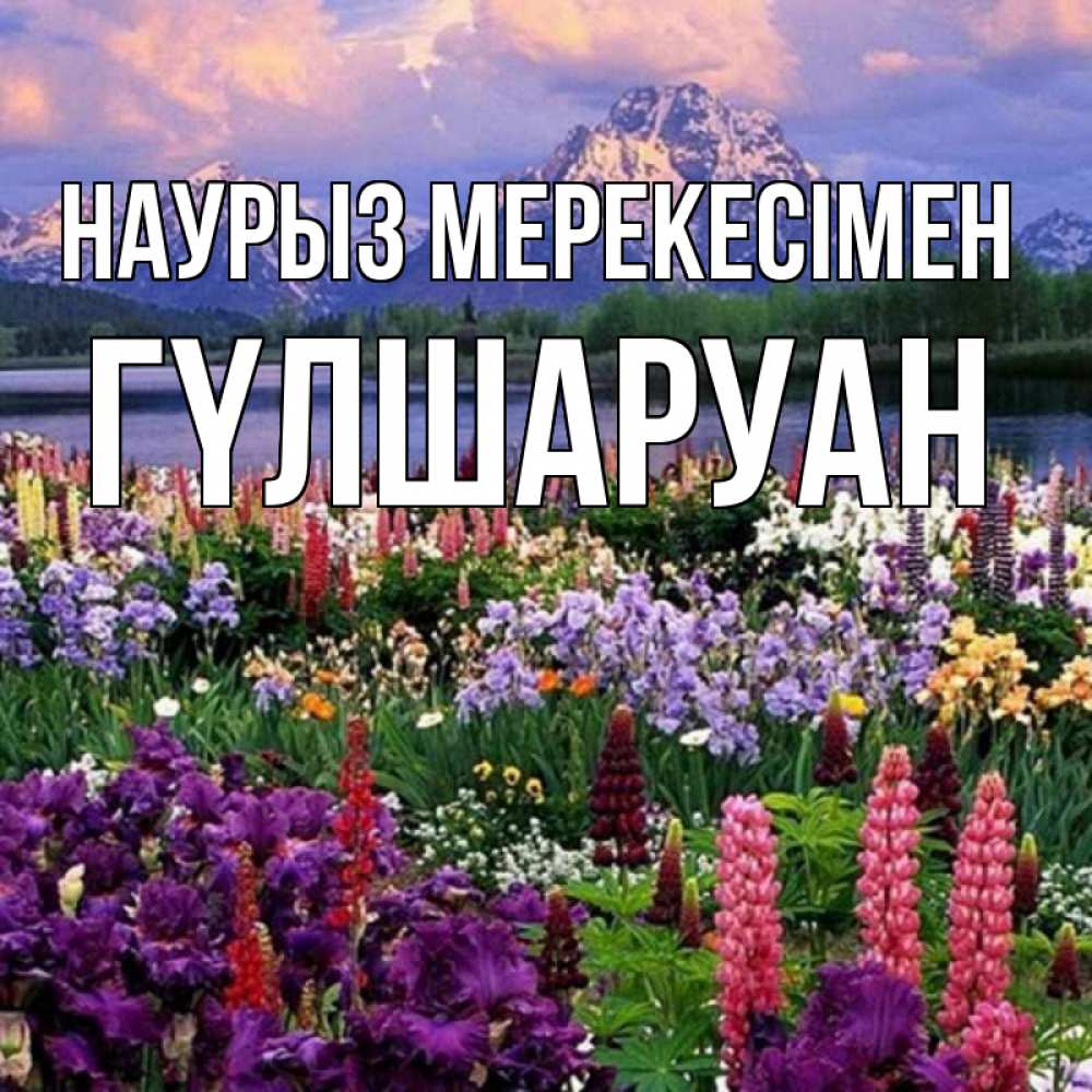 Күн сайын ашық хат с именем, ГҮЛШАРУАН Наурыз мерекесімен праздник весны наурыз Онлайн тегін жүктеп алу тілектері бар керемет карта 