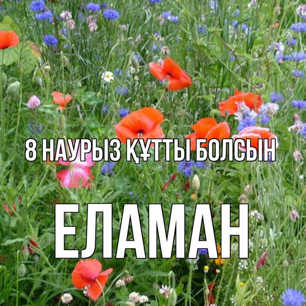 Күн сайын ашық хат с именем, Еламан 8 наурыз құтты болсын международный женский день 4 Онлайн тегін жүктеп алу тілектері бар керемет карта 