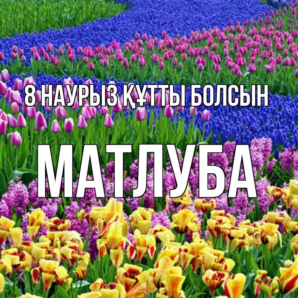 Күн сайын ашық хат с именем, МАТЛУБА 8 наурыз құтты болсын цветы Онлайн тегін жүктеп алу тілектері бар керемет карта 