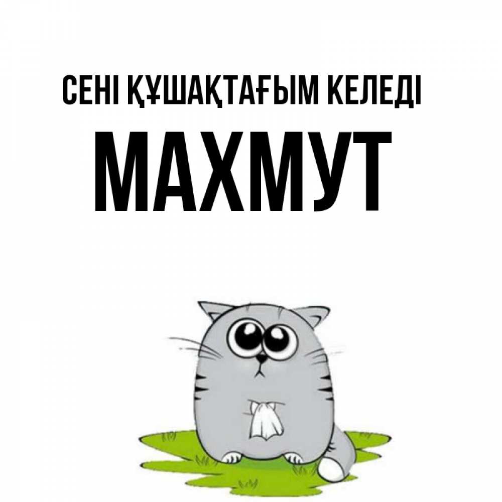 Күн сайын ашық хат с именем, МАХМУТ сені құшақтағым келеді котик теребит платочек сидя на травке Онлайн тегін жүктеп алу тілектері бар керемет карта 