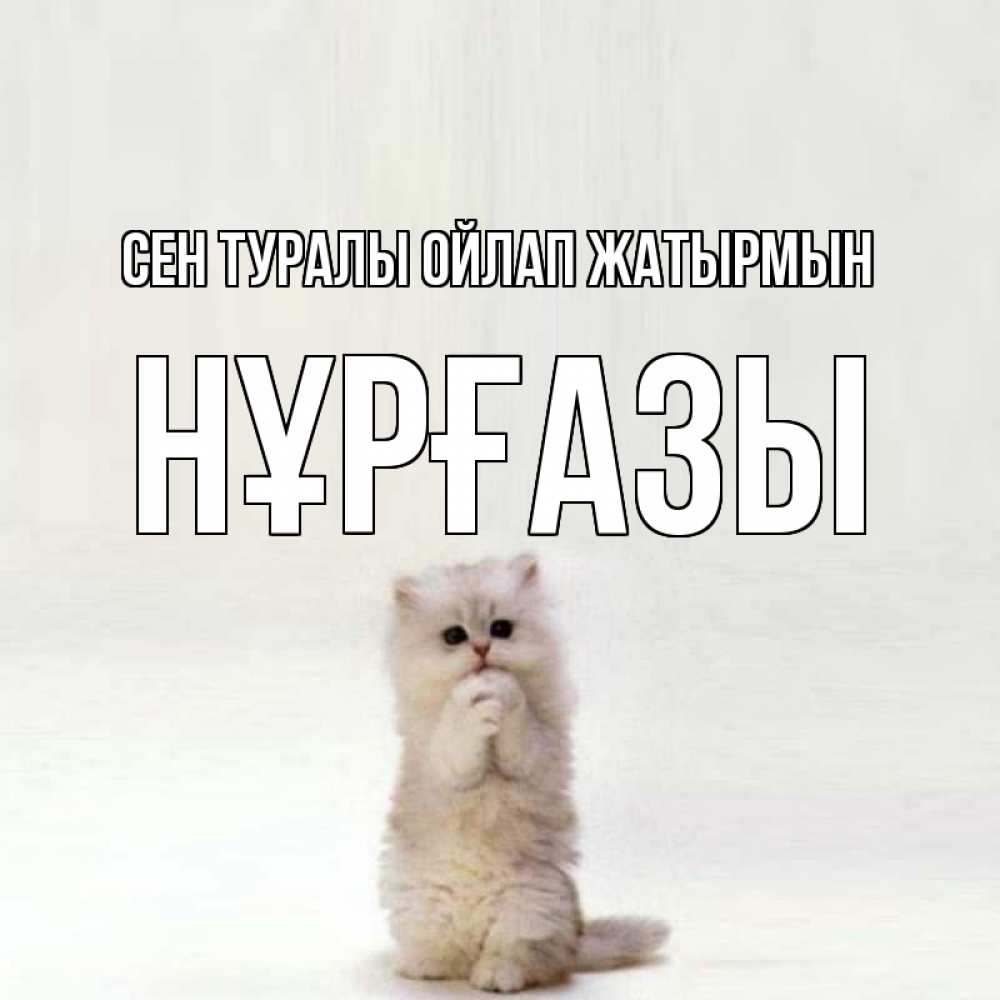 Күн сайын ашық хат с именем, НҰРҒАЗЫ Сен туралы ойлап жатырмын кот стоит на задних лапах Онлайн тегін жүктеп алу тілектері бар керемет карта 