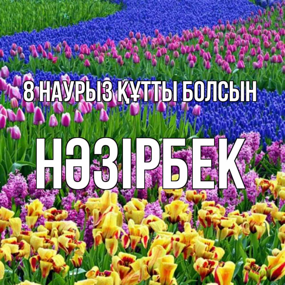Күн сайын ашық хат с именем, НӘЗІРБЕК 8 наурыз құтты болсын цветы Онлайн тегін жүктеп алу тілектері бар керемет карта 
