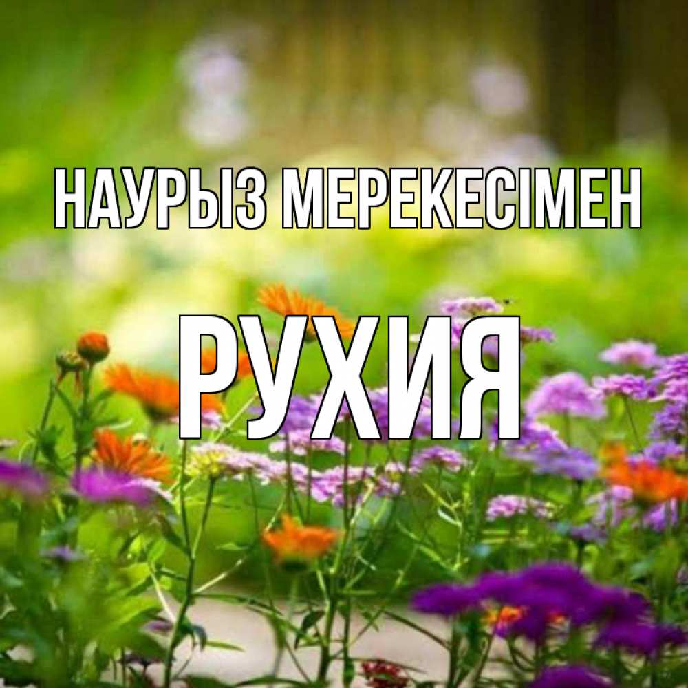 Күн сайын ашық хат с именем, РУХИЯ Наурыз мерекесімен цветы Онлайн тегін жүктеп алу тілектері бар керемет карта 