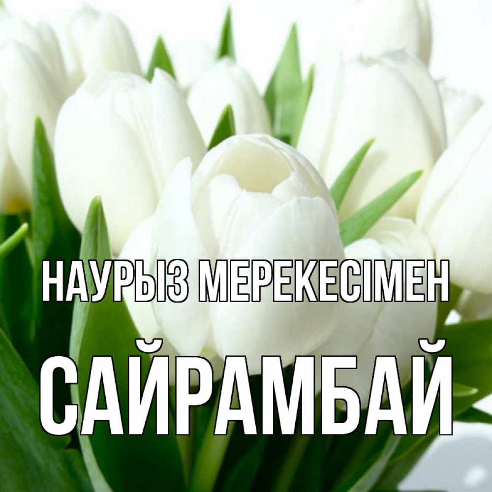 Күн сайын ашық хат с именем, САЙРАМБАЙ Наурыз мерекесімен цветы Онлайн тегін жүктеп алу тілектері бар керемет карта 