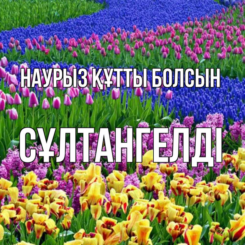 Күн сайын ашық хат с именем, СҰЛТАНГЕЛДІ Наурыз құтты болсын цветы Онлайн тегін жүктеп алу тілектері бар керемет карта 