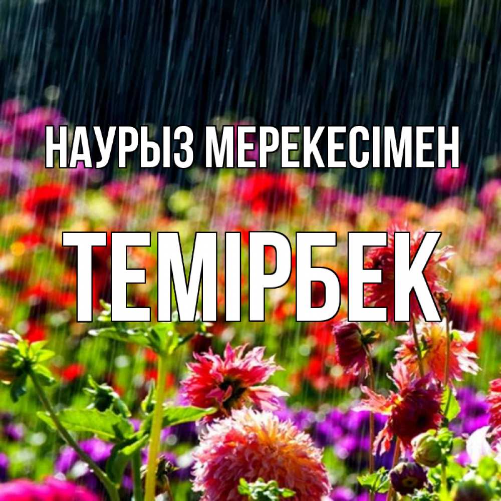 Күн сайын ашық хат с именем, ТЕМІРБЕК Наурыз мерекесімен цветы под дождиком к международному женскому дню Онлайн тегін жүктеп алу тілектері бар керемет карта 