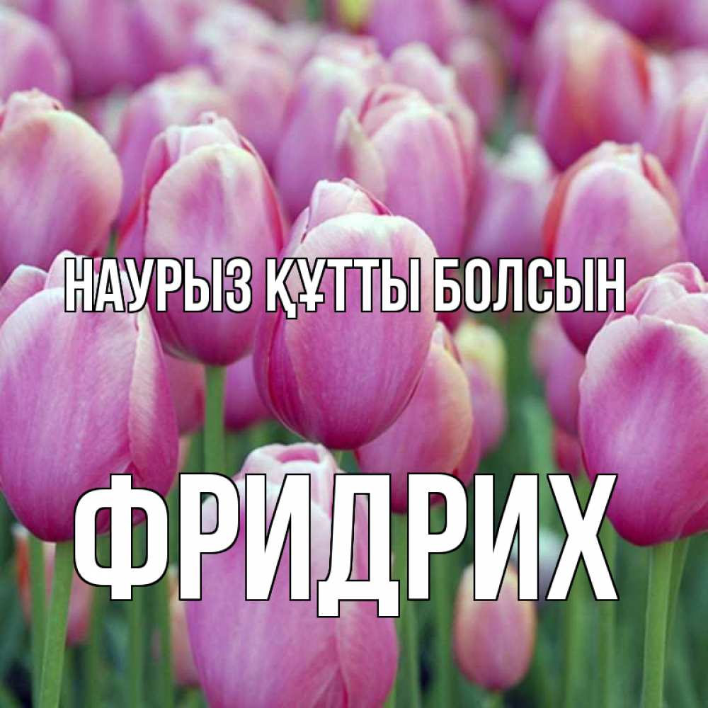 Күн сайын ашық хат с именем, Фридрих Наурыз құтты болсын на наурыз  день 3 Онлайн тегін жүктеп алу тілектері бар керемет карта 