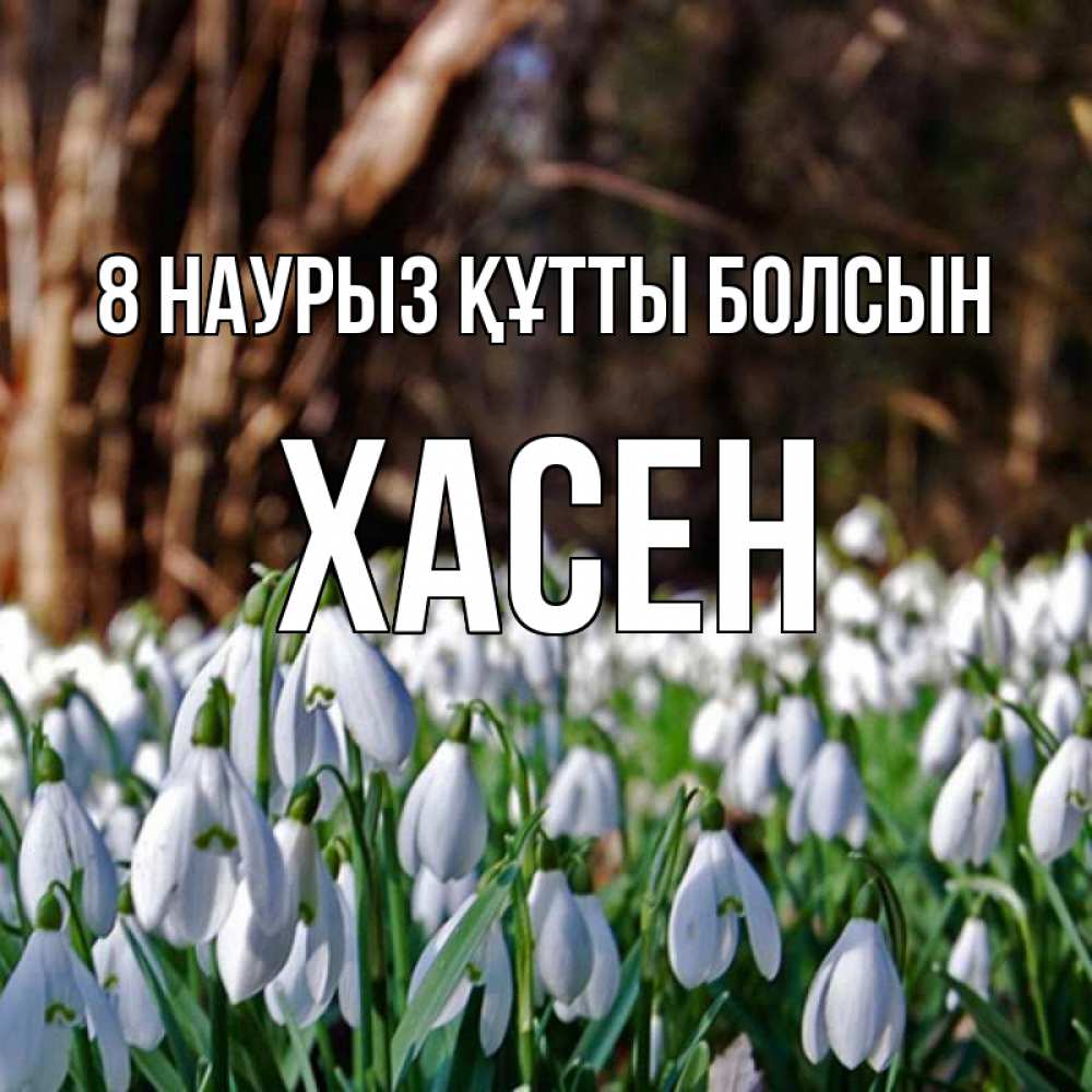 Күн сайын ашық хат с именем, ХАСЕН 8 наурыз құтты болсын с подснежниками 1 Онлайн тегін жүктеп алу тілектері бар керемет карта 