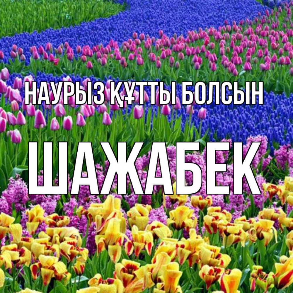 Күн сайын ашық хат с именем, ШАЖАБЕК Наурыз құтты болсын цветы Онлайн тегін жүктеп алу тілектері бар керемет карта 