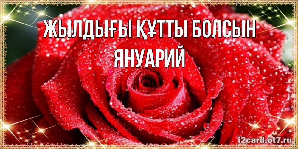 Күн сайын ашық хат с именем, Януарий Жылдығы құтты болсын роса и роза. открытка с красивой розой Онлайн тегін жүктеп алу тілектері бар керемет карта 