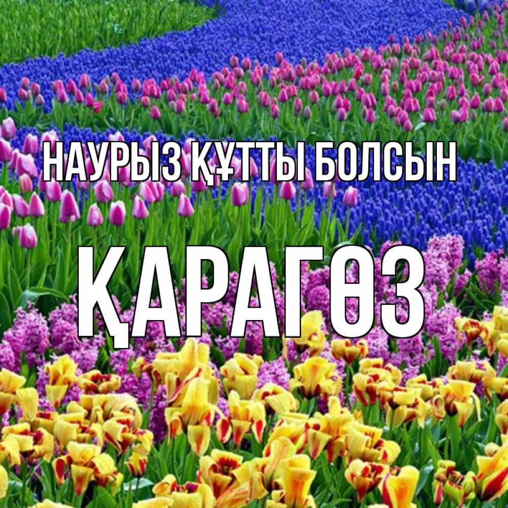Күн сайын ашық хат с именем, ҚАРАГӨЗ Наурыз құтты болсын цветы Онлайн тегін жүктеп алу тілектері бар керемет карта 