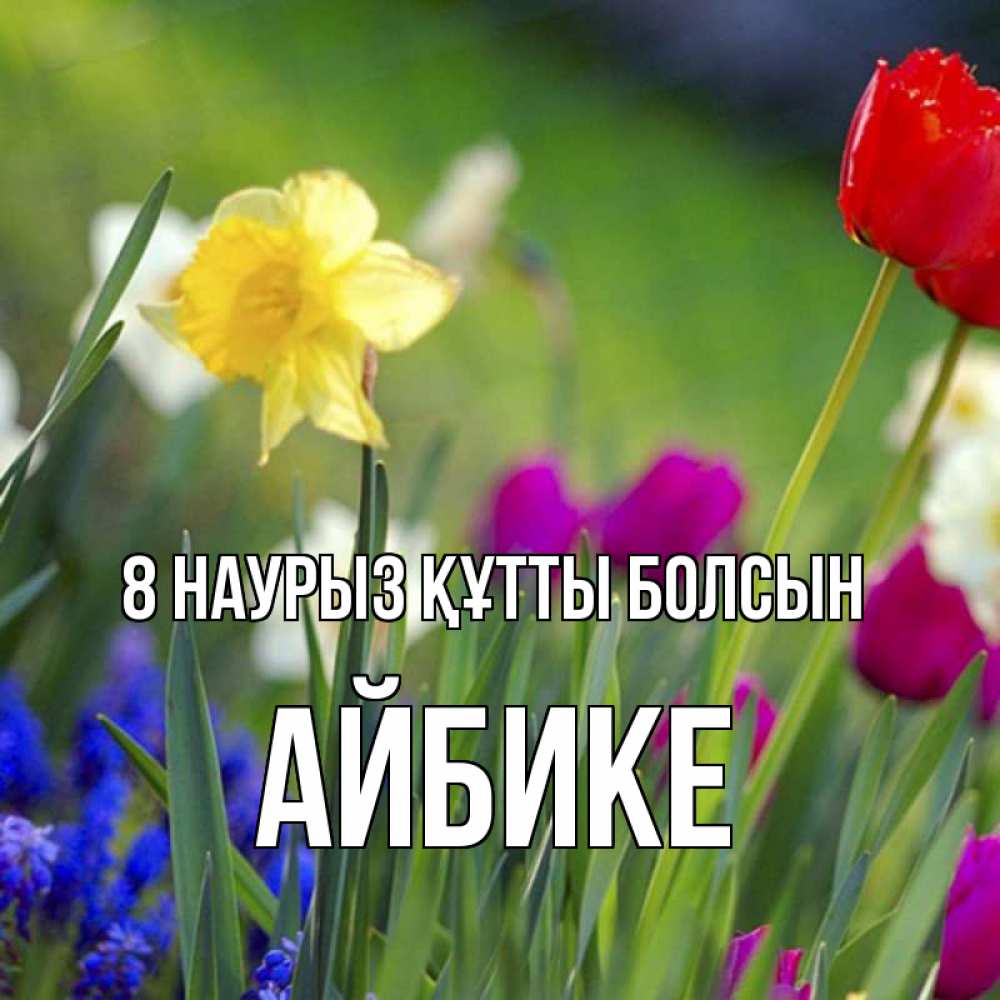Күн сайын ашық хат с именем, АЙБИКЕ 8 наурыз құтты болсын международный женский день 3 Онлайн тегін жүктеп алу тілектері бар керемет карта 