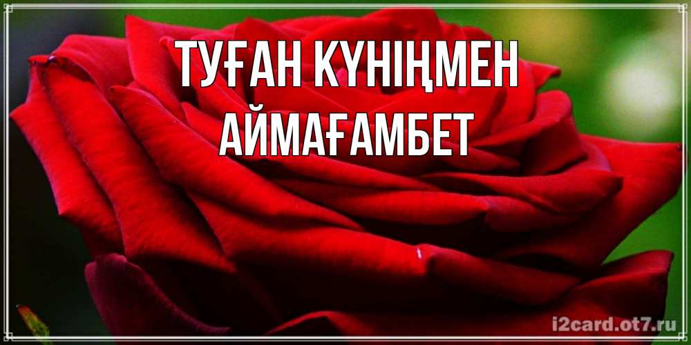Күн сайын ашық хат с именем, Аймағамбет Туған күніңмен розочка очень красивая Онлайн тегін жүктеп алу тілектері бар керемет карта 