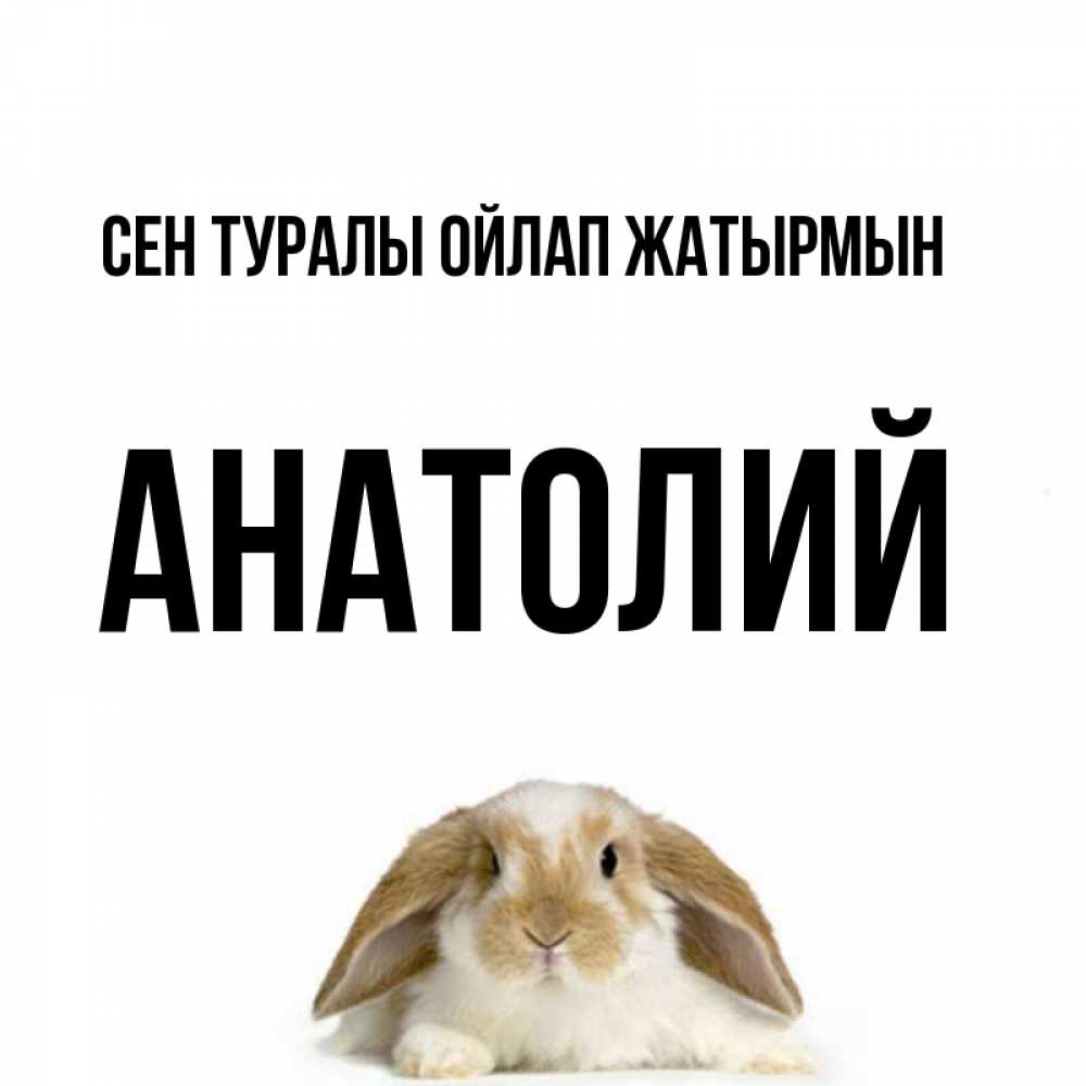 Күн сайын ашық хат с именем, Анатолий Сен туралы ойлап жатырмын подписать своими руками онлайн Онлайн тегін жүктеп алу тілектері бар керемет карта 