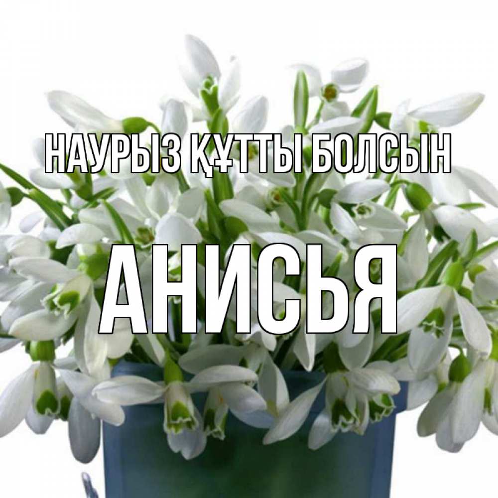 Күн сайын ашық хат с именем, Анисья Наурыз құтты болсын цветы к наурызу Онлайн тегін жүктеп алу тілектері бар керемет карта 