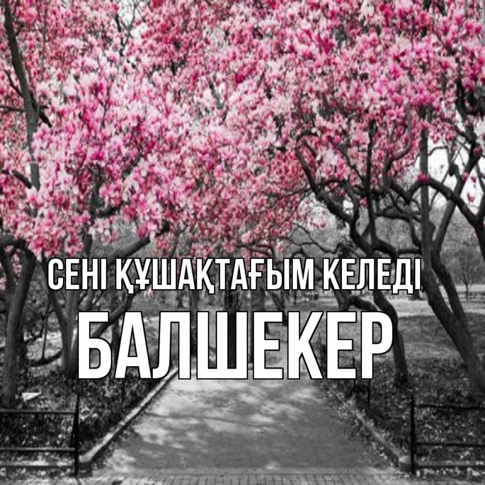 Күн сайын ашық хат с именем, БАЛШЕКЕР сені құшақтағым келеді обработанное фото Онлайн тегін жүктеп алу тілектері бар керемет карта 