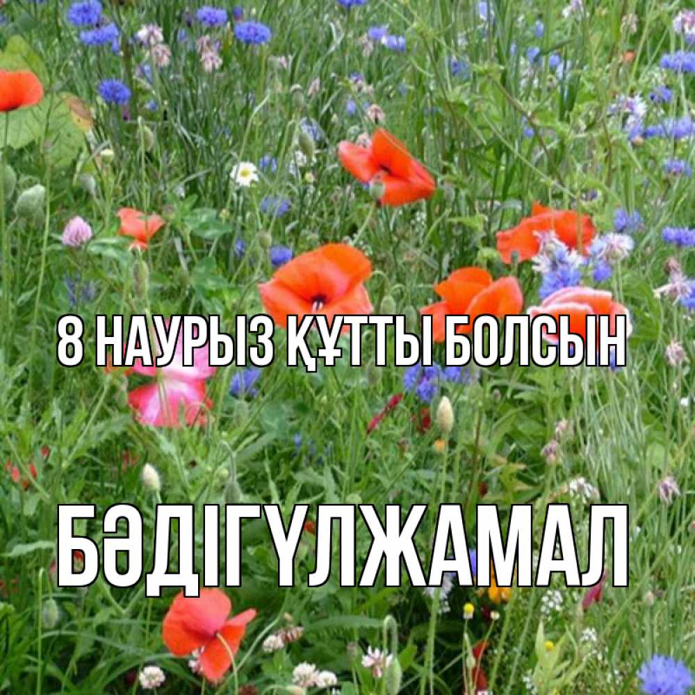 Күн сайын ашық хат с именем, БӘДІГҮЛЖАМАЛ 8 наурыз құтты болсын международный женский день 4 Онлайн тегін жүктеп алу тілектері бар керемет карта 
