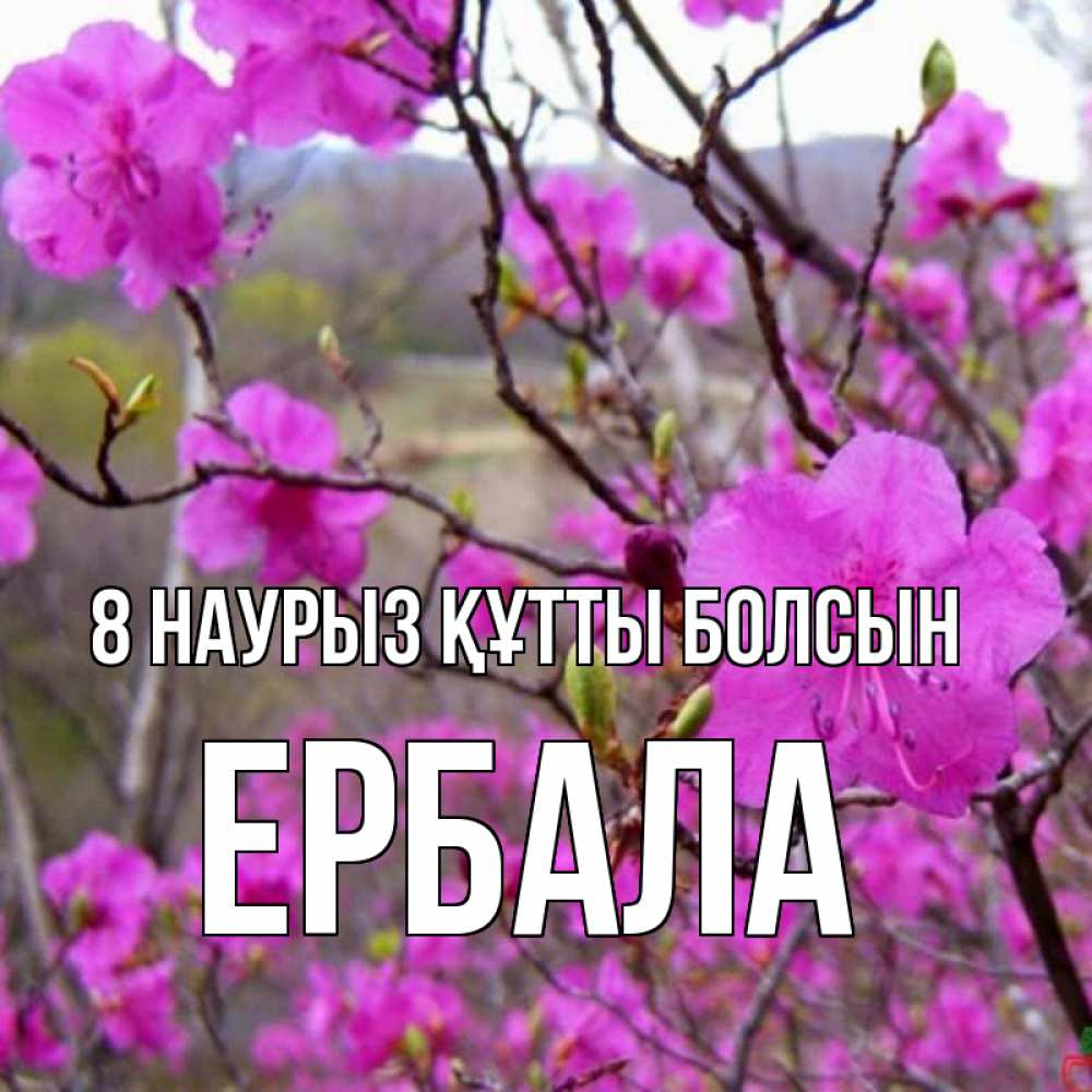 Күн сайын ашық хат с именем, Ербала 8 наурыз құтты болсын международный женский день Онлайн тегін жүктеп алу тілектері бар керемет карта 