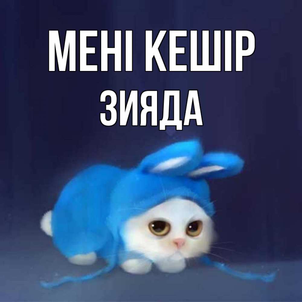 Күн сайын ашық хат с именем, ЗИЯДА Мені кешір невинный котозай просит прощения Онлайн тегін жүктеп алу тілектері бар керемет карта 