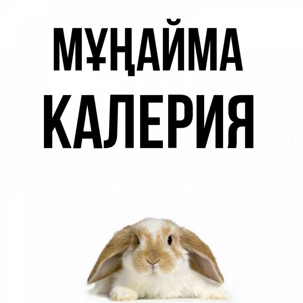 Күн сайын ашық хат с именем, Калерия Мұңайма коричнево белый заяц с большими ушками Онлайн тегін жүктеп алу тілектері бар керемет карта 