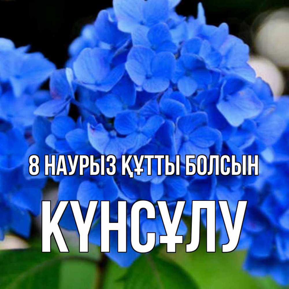 Күн сайын ашық хат с именем, КҮНСҰЛУ 8 наурыз құтты болсын синие цветы Онлайн тегін жүктеп алу тілектері бар керемет карта 