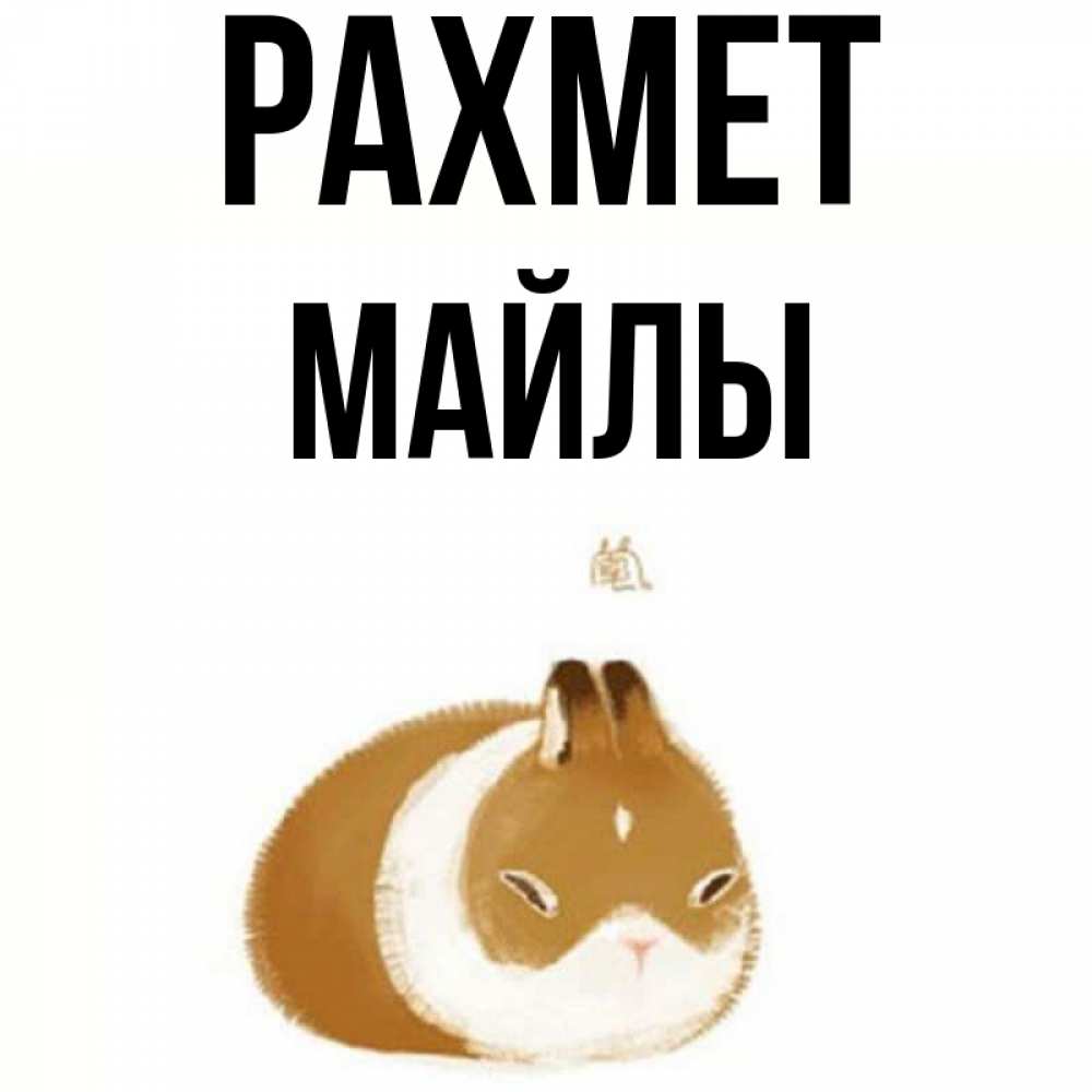 Күн сайын ашық хат с именем, МАЙЛЫ рахмет коричнево белый домашний питомец Онлайн тегін жүктеп алу тілектері бар керемет карта 
