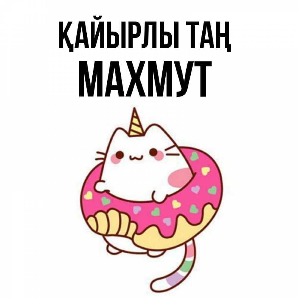 Күн сайын ашық хат с именем, МАХМУТ Қайырлы таң кот в бублике Онлайн тегін жүктеп алу тілектері бар керемет карта 