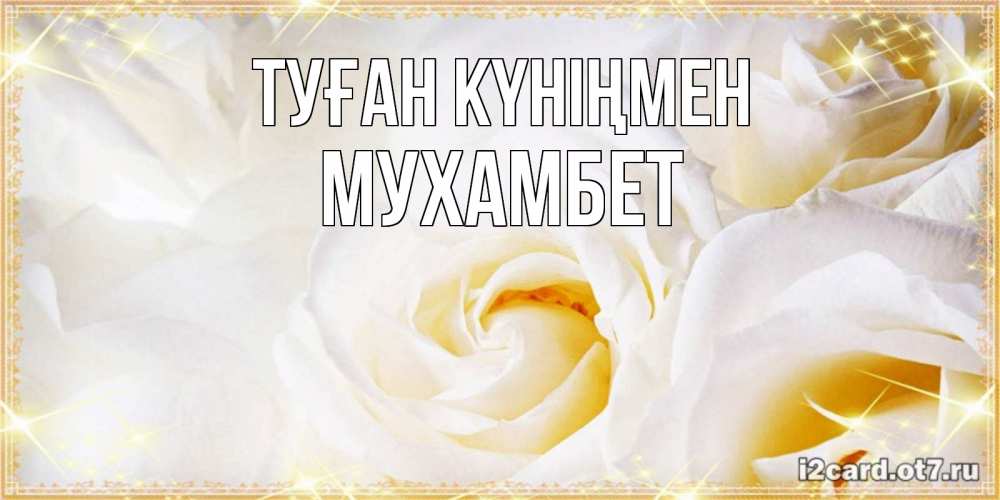Күн сайын ашық хат с именем, МУХАМБЕТ Туған күніңмен красивые розы и капли росы на этих чудесных цветах Онлайн тегін жүктеп алу тілектері бар керемет карта 