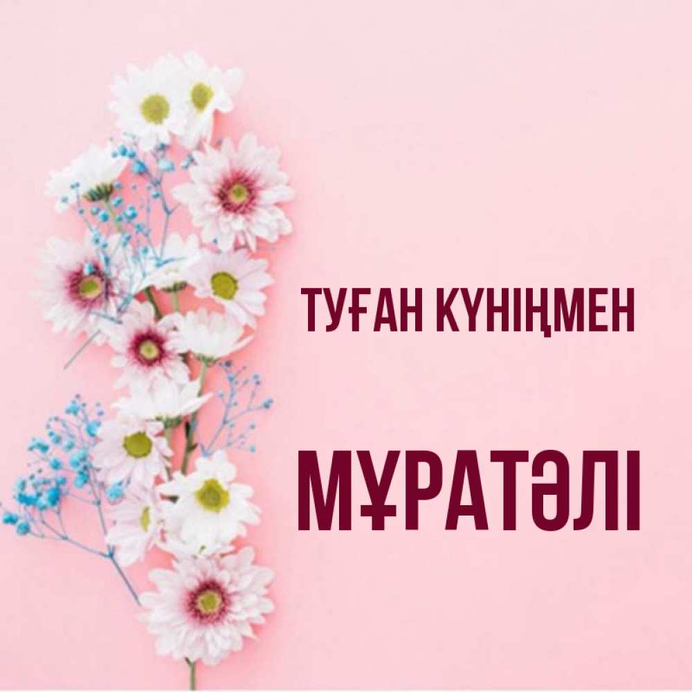 Күн сайын ашық хат с именем, Мұратәлі Туған күніңмен Родная моя с днем рождения тебя картинка с цветами белыми и голубыми Онлайн тегін жүктеп алу тілектері бар керемет карта 