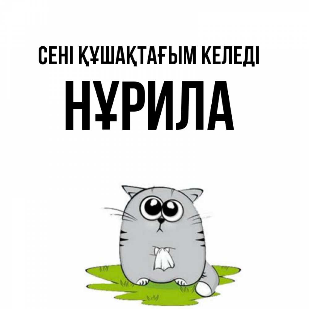 Күн сайын ашық хат с именем, НҰРИЛА сені құшақтағым келеді котик теребит платочек сидя на травке Онлайн тегін жүктеп алу тілектері бар керемет карта 