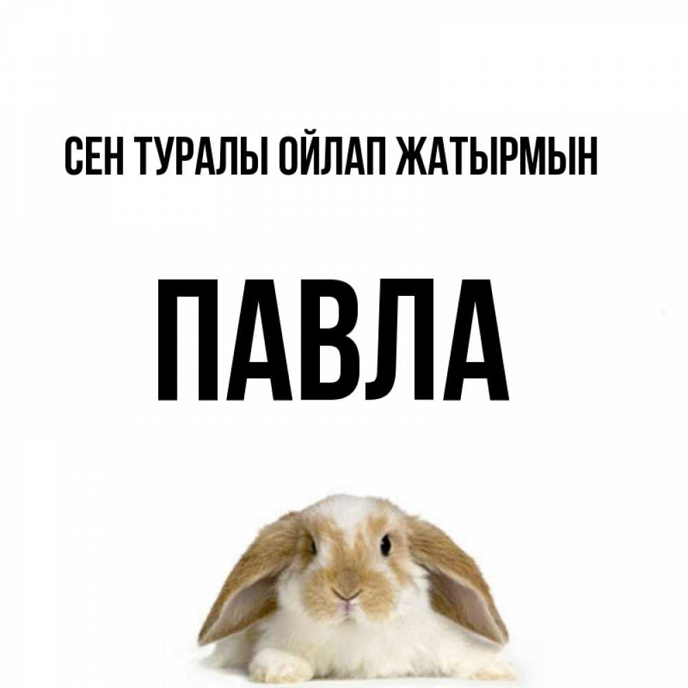 Күн сайын ашық хат с именем, Павла Сен туралы ойлап жатырмын подписать своими руками онлайн Онлайн тегін жүктеп алу тілектері бар керемет карта 