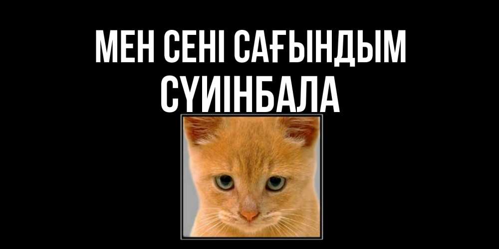 Күн сайын ашық хат с именем, СҮИІНБАЛА Мен сені сағындым открытки рыжий котенок скучает по тебе Онлайн тегін жүктеп алу тілектері бар керемет карта 