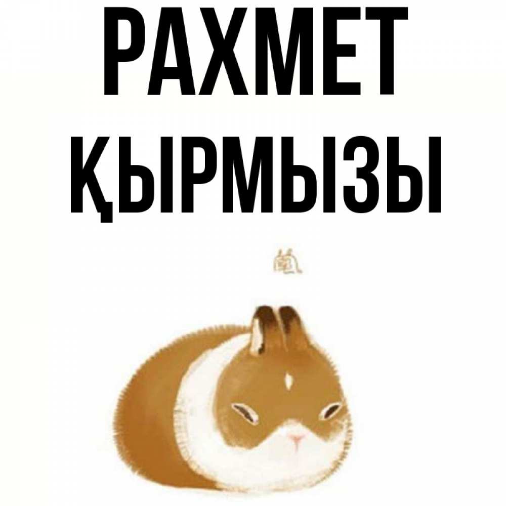 Күн сайын ашық хат с именем, ҚЫРМЫЗЫ рахмет коричнево белый домашний питомец Онлайн тегін жүктеп алу тілектері бар керемет карта 