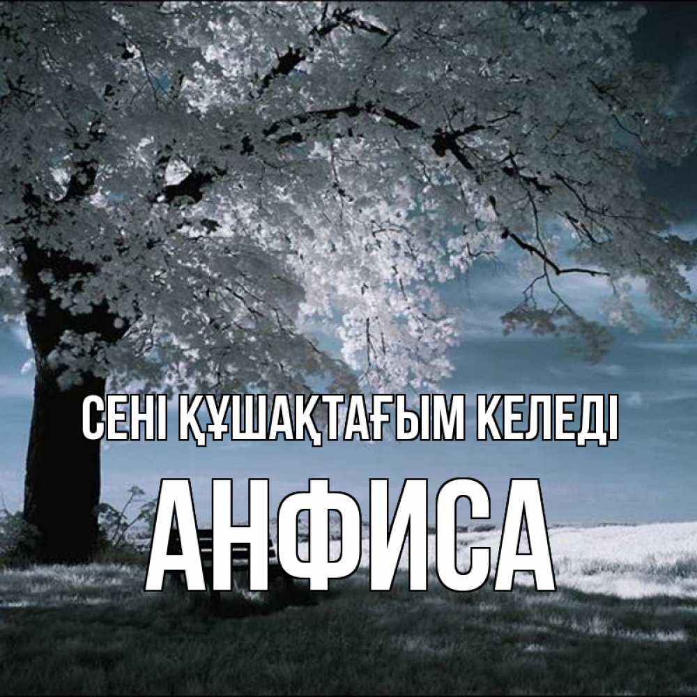 Күн сайын ашық хат с именем, Анфиса сені құшақтағым келеді дерево Онлайн тегін жүктеп алу тілектері бар керемет карта 