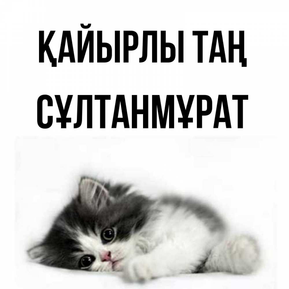 Күн сайын ашық хат с именем, СҰЛТАНМҰРАТ Қайырлы таң кот лапки Онлайн тегін жүктеп алу тілектері бар керемет карта 